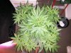 20140517_183255.jpg