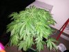 20140517_183437.jpg