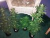 CameraZOOM-20140516162854212.jpg