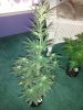 CameraZOOM-20140516162746325.jpg