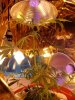 DSC00334.jpg