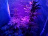 CameraZOOM-20140517200049970.jpg