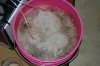 Grape Muerto Flushing 003.jpg