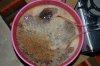 Grape Muerto Flushing 004.jpg