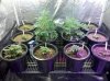 Overview-12-8-2011.jpg