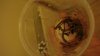 DSC03953.jpg