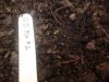 20140521_133837.jpg