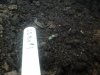 20140522_084344.jpg
