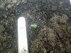 20140522_084328.jpg