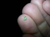 20140522_190346.jpg