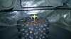 WP_20140523_14_12_00_Pro.jpg