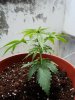 DSC01162.jpg