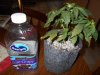 DSCN0226.JPG