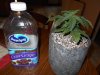 DSCN0227.JPG
