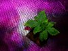 20140515_022939.jpg