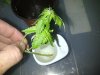 IMG-20140527-01378.jpg