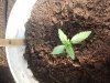 20140530_165707.jpg