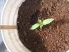 20140530_165725.jpg