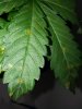 20140601_162517.jpg