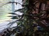 ForumRunner_20140604_084041.jpg