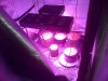 IMG-20140604-00184.jpg