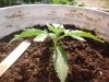 20140605_094836.jpg