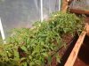 20140605_095119.jpg