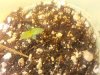 20140604_221227.jpg 20140604_221227.jpg