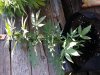 20140607_095247.jpg