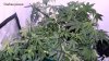 20140610_204140.jpg