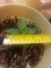 20140610_202438.jpg 20140610_202438.jpg