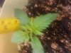20140610_202447.jpg 20140610_202447.jpg