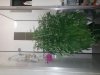 20140611_193530.jpg