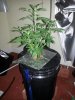20140609_205252.jpg