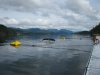 IMG_2082371978762.jpg