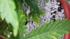 20140612_002744 - Copy.jpg