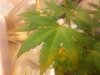 20140610_202923.jpg 20140610_202923.jpg