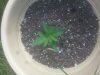 20140612_170459.jpg