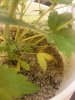 20140612_210720.jpg