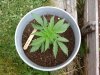 20140614_100848.jpg