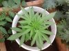 20140615_021607.jpg