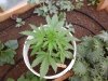 20140615_021558.jpg