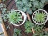20140615_021520.jpg