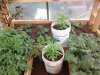 20140615_021454.jpg