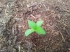 20140522_185013.jpg