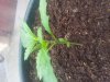 20140603_172414.jpg