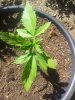 20140606_163730.jpg