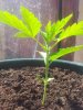 20140606_163637.jpg