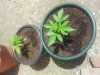 20140609_142525.jpg