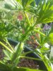 20140612_154206.jpg